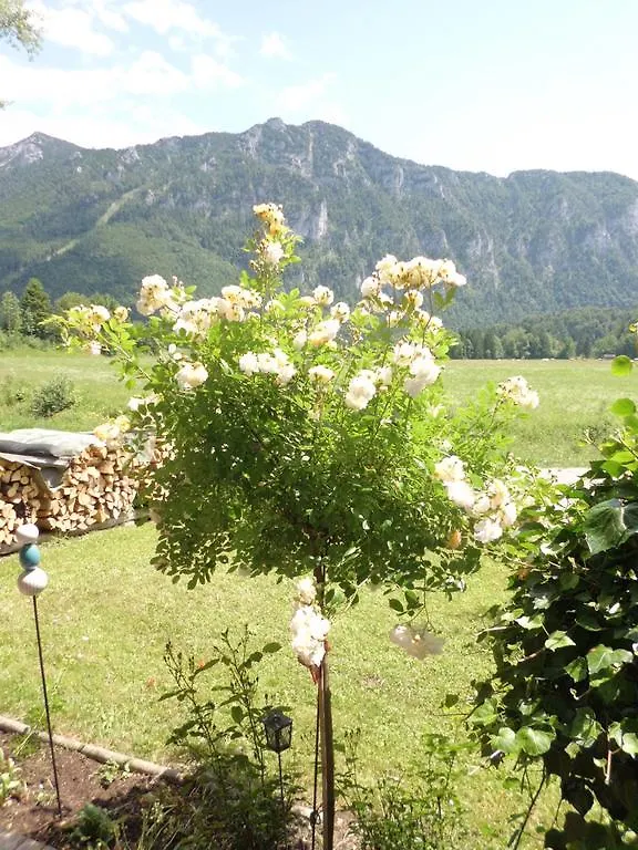 Gaestehaus Barbara Schwaiger Inzell Germany